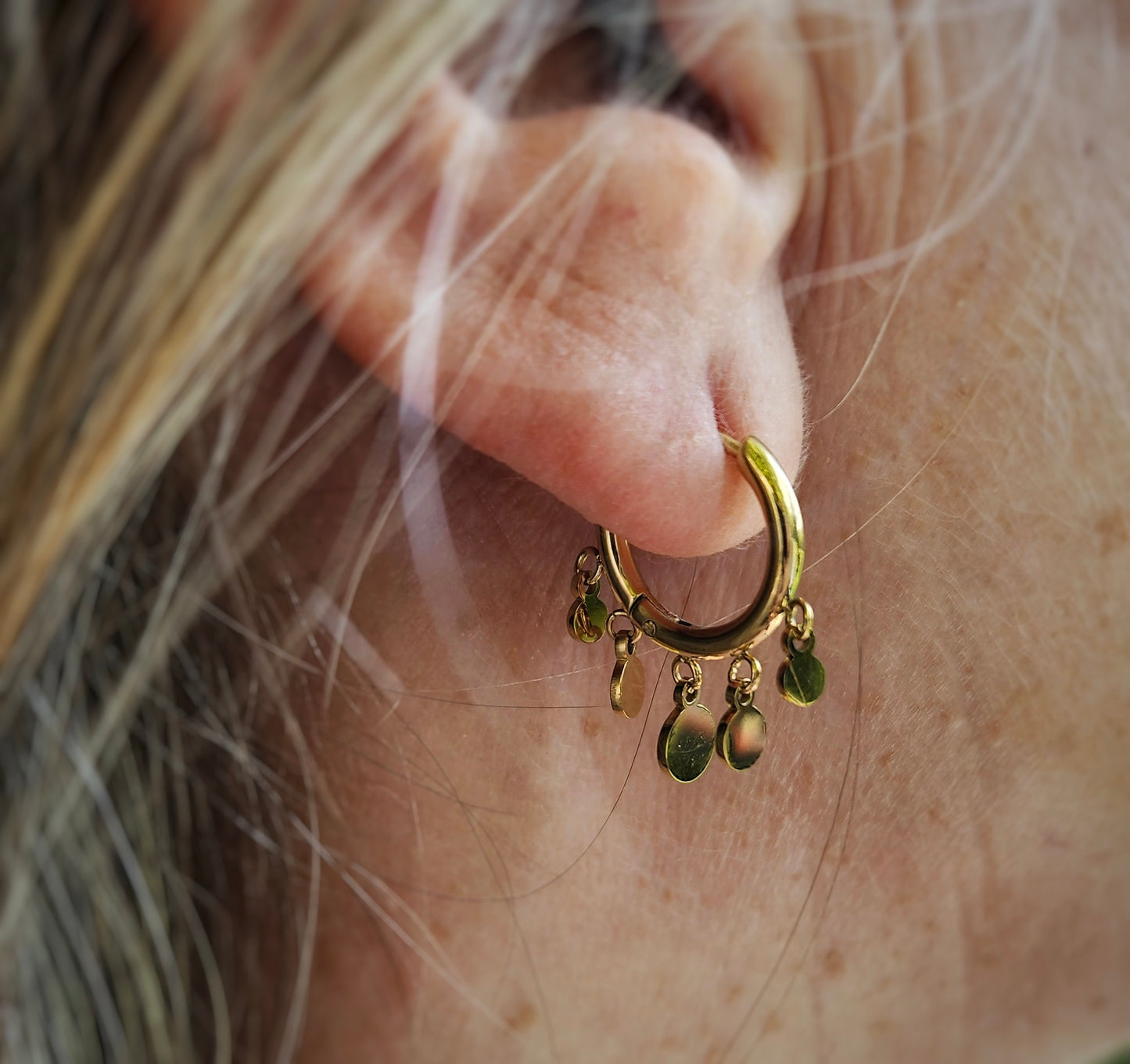 Puce d'oreille Lilou