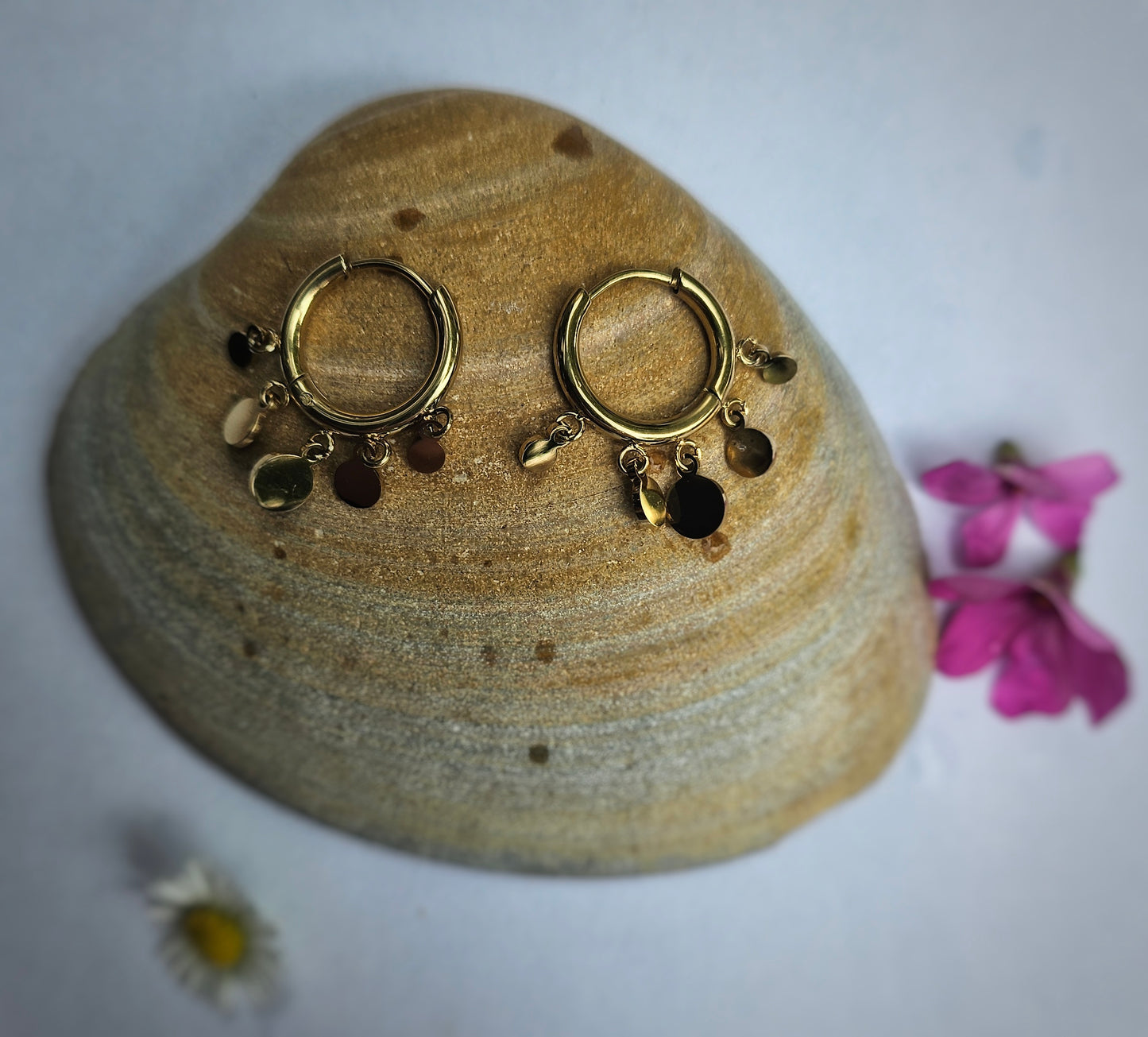 Puce d'oreille Lilou